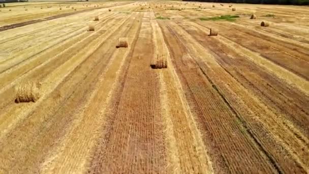 Vista aérea de las balas de heno en el campo agrícola — Vídeos de Stock