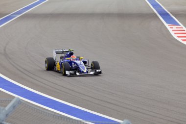 Felipe Nasr Sauber F1 Team. Formula 1. Sochi Rusya