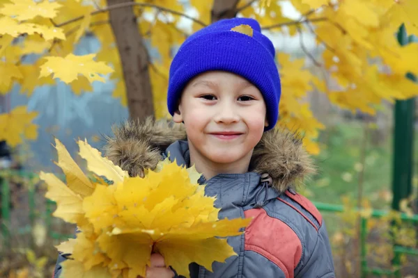 Pojke på maple leaf i falla — Stockfoto