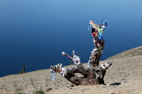 A costa no Lago Baikal, Ilha Olkhon,, Rússia — Fotografia de Stock