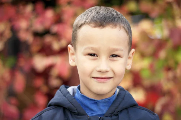Mladý chlapec proti podzimní listí v parku — Stock fotografie