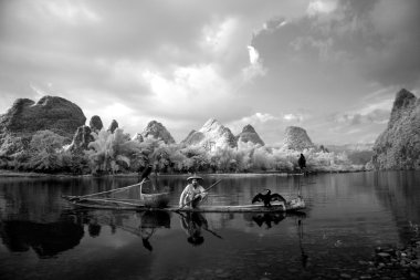 YANGSHUO - JUNE 18: Chinese man fishing with cormorants birds in clipart