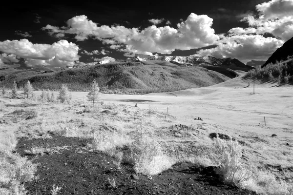 Mount Altai State Natural Biospheric Reserve, Ryssland. — Stockfoto