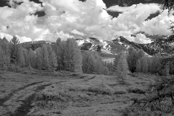 Altai Dağı Doğal Biyosfer Rezervi, Rusya. — Stok fotoğraf