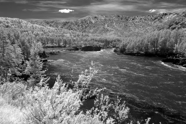 Reserva Biosférica Natural del Estado de Altai, Río Chuia, Rusia . — Foto de Stock