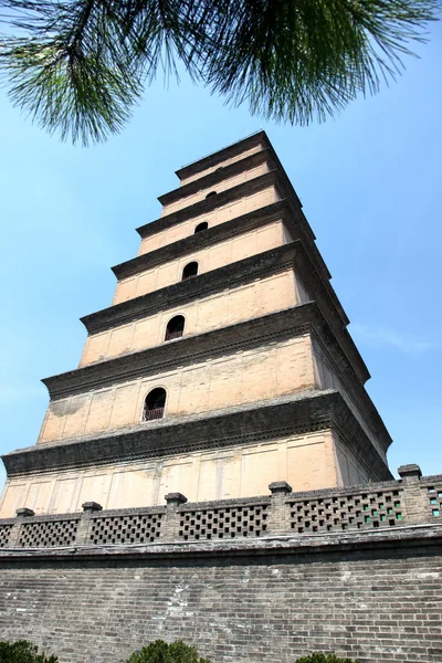 Obří divoké husy pagoda, Čína, xian Stock Obrázky
