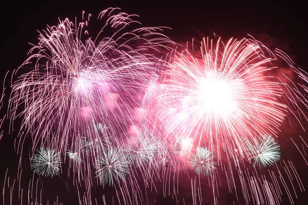 Holidays Fireworks Night Sky — Stock Photo, Image