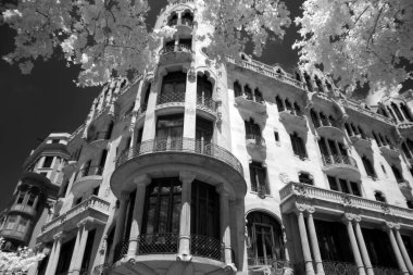 Barselona, İspanya 'daki sokakta.