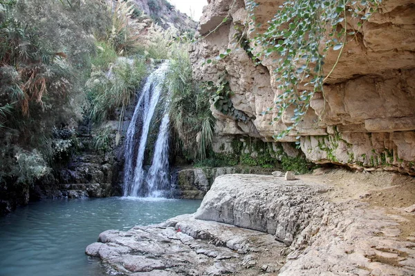 イスラエルの死海近くの国立公園Ein Gediの滝 — ストック写真