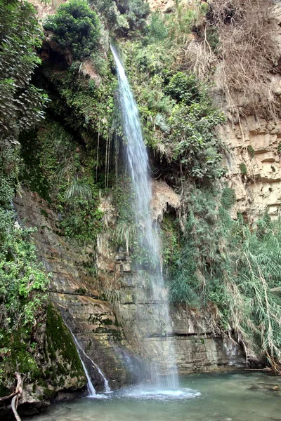 Cachoeira Parque Nacional Ein Gedi Perto Mar Morto Israel — Fotografia de Stock