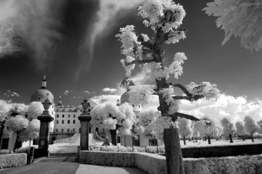 Moritzburg yakınlarında park, Saksonya, Almanya