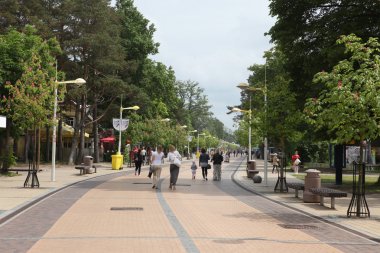 Merkez in palanga mesire