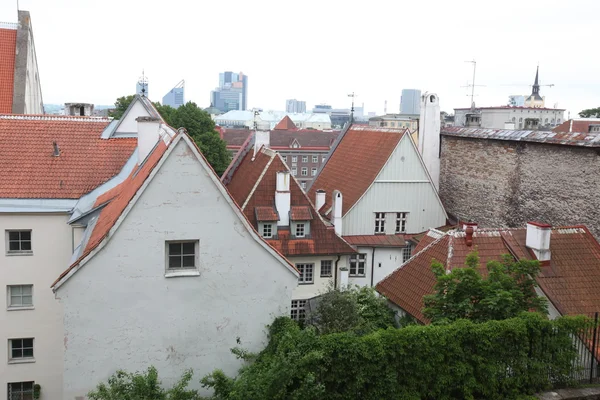 Ciudad Vieja de Tallin — Foto de Stock