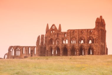 Whitby abbey Kalesi