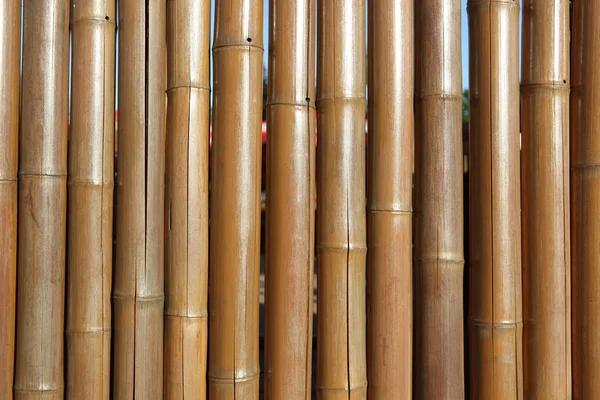 Bambu çit — Stok fotoğraf