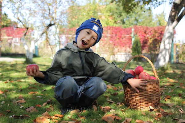 Kleine jongen met appels — Stockfoto