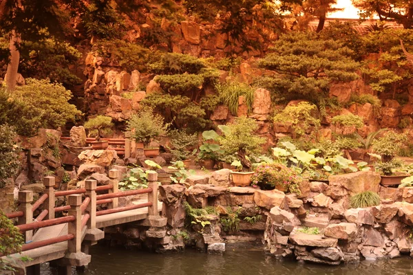 Yuyuan Garden in Shanghai, China — Stock Photo, Image