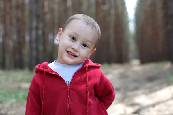 Ltlle boy in forest — Stock Photo, Image