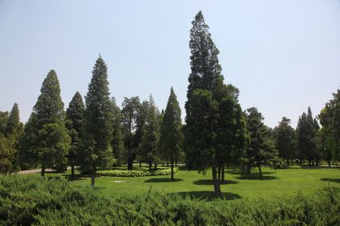 Yasak şehir parkında