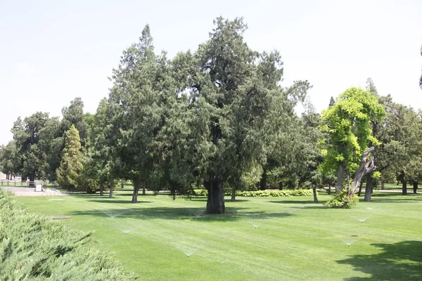 Park in de verboden stad — Stockfoto