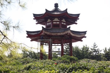 Dev Vahşi kaz Pagodası