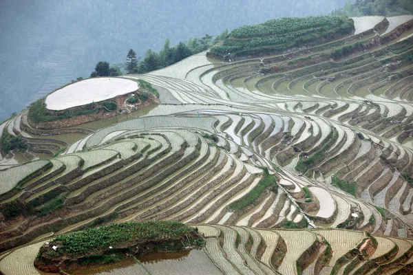 Langji-Reisterrassen — Stockfoto