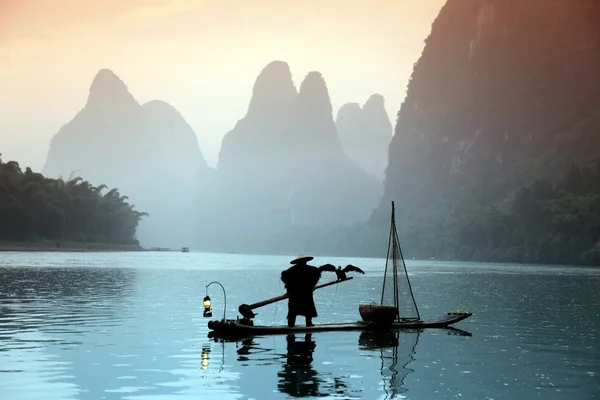 Homme chinois pêchant avec des cormorans oiseaux — Photo