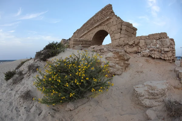 Ancient Roman aqueduct at Ceasarea — Stock Photo, Image