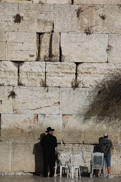 Jewish men praying at the Wailing Wall Royalty Free Stock Photos