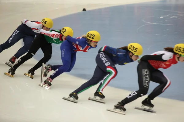 Short Track Speed Skating sportsmen