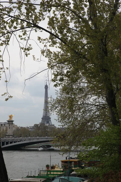 Alexandre III Bridge in Paris — Stock Photo, Image