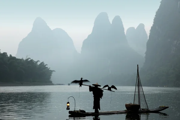 Hombre chino pescando con cormoranes pájaros — Foto de Stock