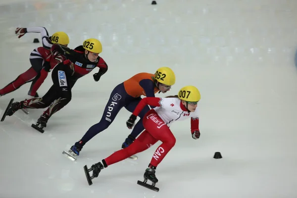 Kısa mesafe sürat pateni sporcular — Stok fotoğraf