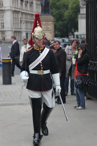 Royal guard in traditional costume — Stock Photo, Image