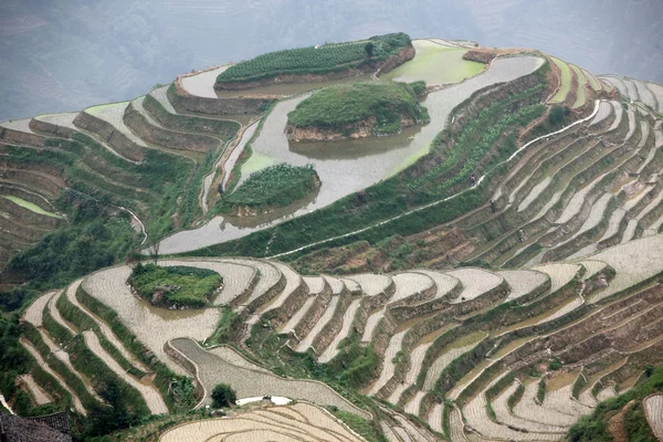 Terraços de arroz longji — Fotografia de Stock