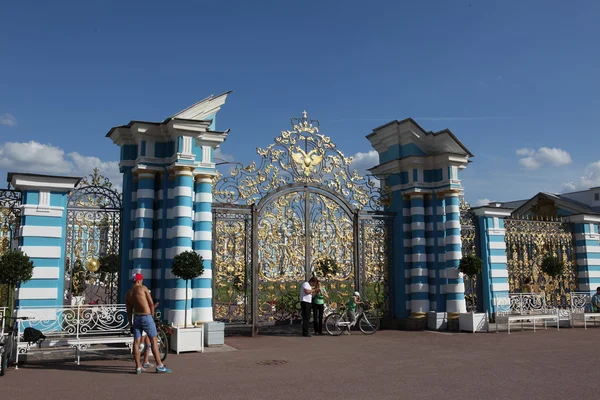 Fragment of Catherine palace fence — Stock Photo, Image