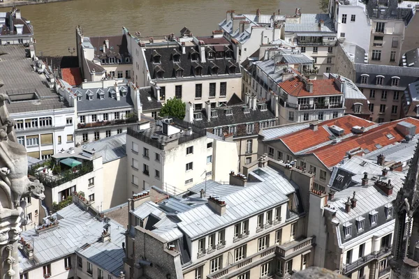 View on Paris form Notre Dame — Stock Photo, Image