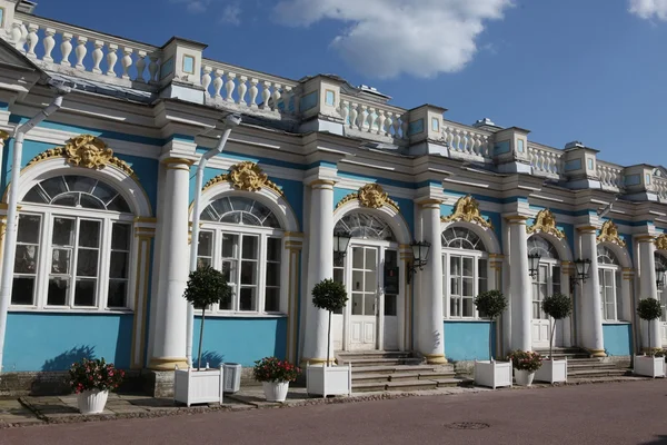 Подробности о зданиях Екатерининского дворца — стоковое фото