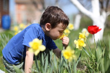 çiçek kokulu küçük çocuk