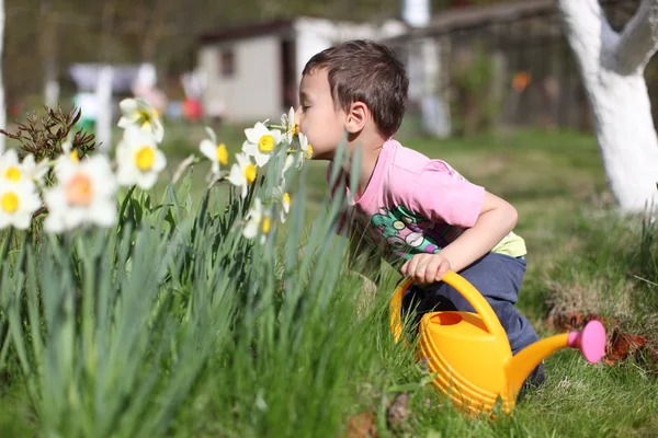 Menino cheirando flores — Fotografia de Stock