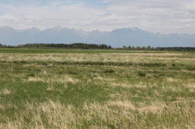 Sibirya Sayan Dağları