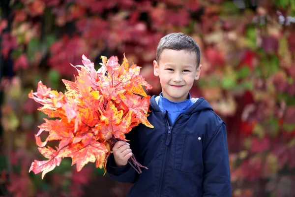 Bambino con foglie nel parco — Foto Stock