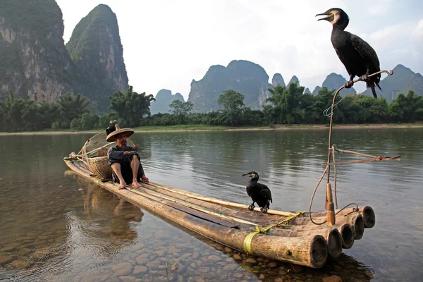 Uomo cinese pesca con cormorani uccelli — Foto Stock