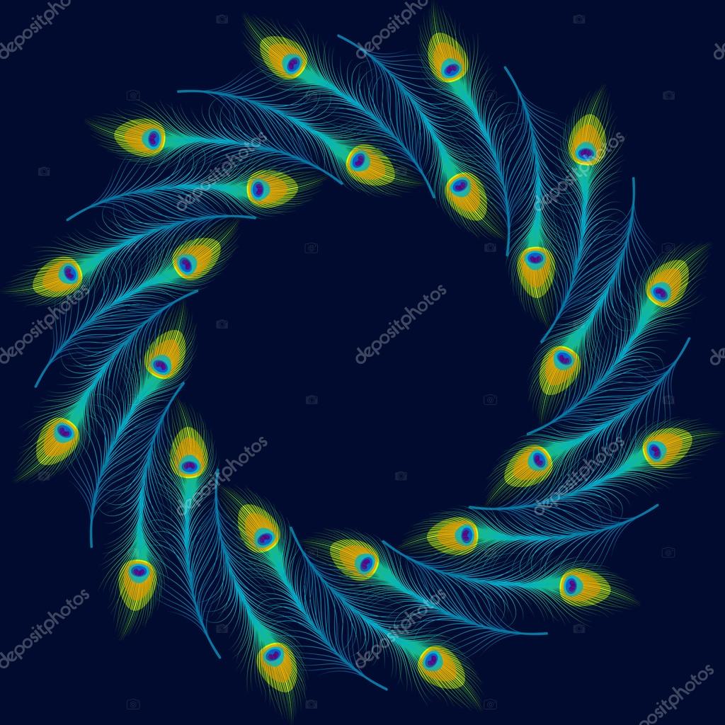 Vector peacock feathers on blue background. Stock Vector Image by ©AnnaChe  #68308149
