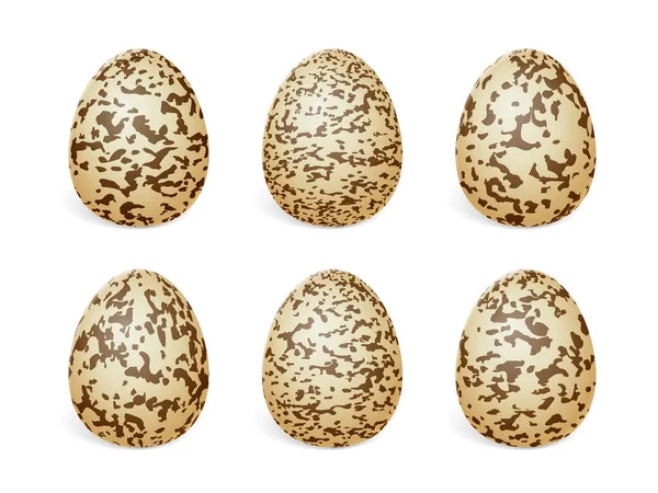 Quail Eggs White Background Vector Illustration — Stock Vector