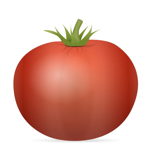 Tomato — Stock Vector