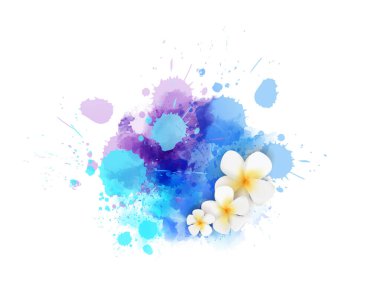 Frengipani (plumeria) çiçekleri ile soyut yaz arkaplanı mor ve mavi suluboya sıçrama