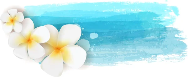 Plumeria em banner aquarela — Vetor de Stock