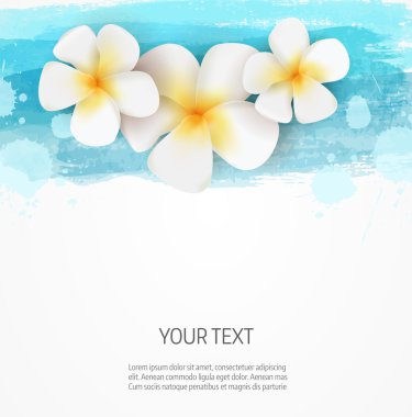 suluboya hatları ve frangipani çiçek arka plan şablonu