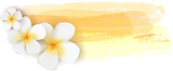 Plumeria on watercolor banner — Stock Vector